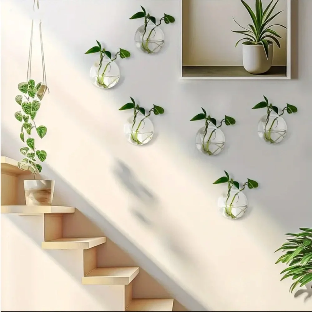 🌿 6 Pc Set of Glass Wall Planter Bowls Brighten Up Your Room 🌾🪴🎋🍃